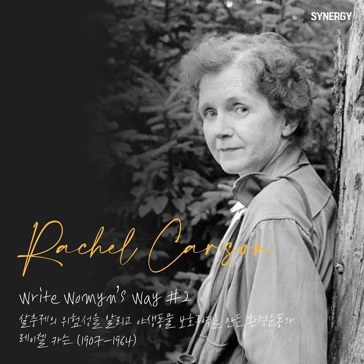 카드뉴스 'WWW: 시너지, 여성의 길을 쓰다' 2편 이미지